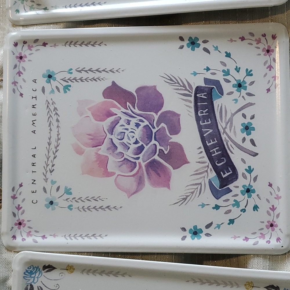 Succulent Sign Set - Picture 3 of 6